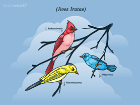 Aves Iratae