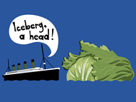 Iceberg, A Head!