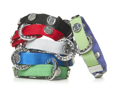 Charm Bracelet