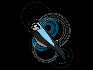 Circlybird