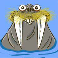 Mr. Walrus loves Alaska Mr. Walrus loves Alaska