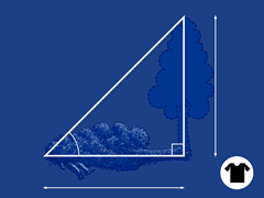 Trigonometree