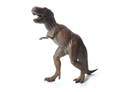 Tyranosaurus Rex