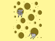 Binge Rat