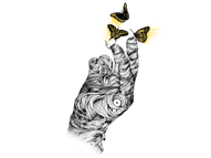 The Butterfly Defect