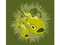 Spawn of the Black Lagoon