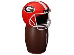 Georgia FANbasket