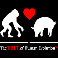 The True of Human Evolution The True of Human Evolution