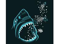 Shark Attack!!!