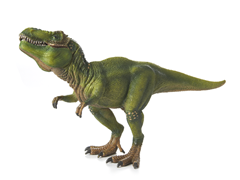 Tyrannosaurus Rex