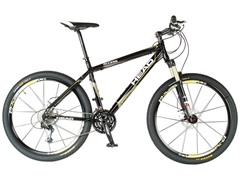 Access Bicycle