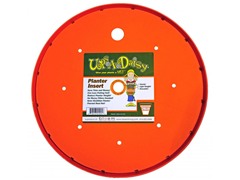 Ups-A-Daisy -  Various Sizes