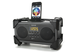 Dual Alarm Clock Radio