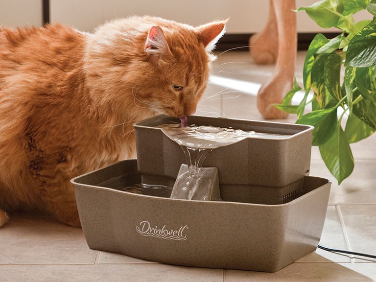 Drinkwell Multi-Tier Fountain