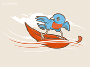 Wind Surfer