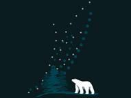 Northern Lights (Take II)