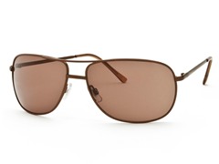 Shiny Brown/Brown Aviator 22 Sunglasses