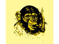 Chimpanzee Robusto