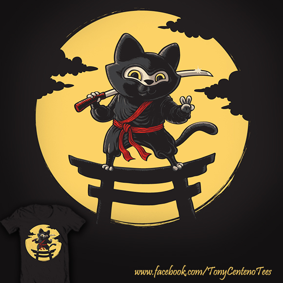 Ninja Kitty