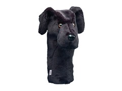 Black Lab
