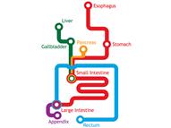 GI Metro