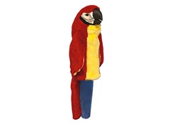 Parrot