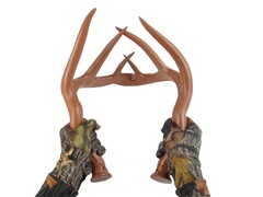 Primos Fightin' Horns