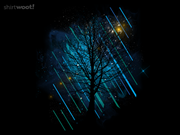 Northern Night