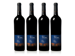 2007 Lodi Tannat (4)