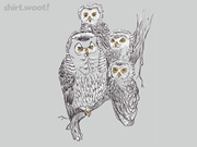 A Parliament of Owls