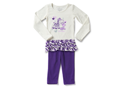 Purple Zebra Legging Set
