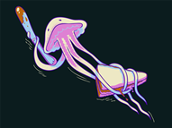 PB and Jellyfish