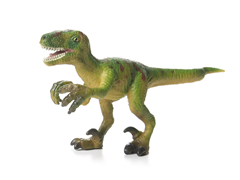 Velociraptor