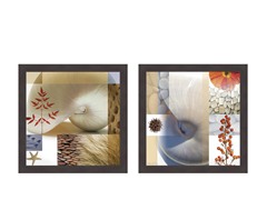 Myriad II, III Set of 2