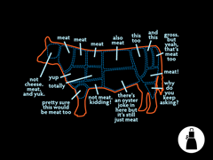 An exhaustive guide... Apron