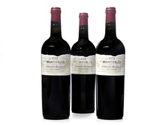 Monticello Vineyards Napa Cabernet (3)