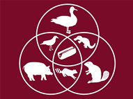 Venn Vittles