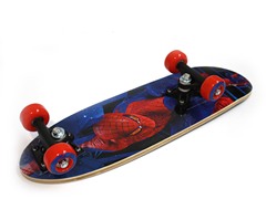 21 inch Skateboard