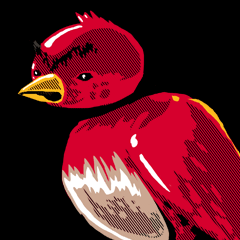 Real Grumpy Birds Real Grumpy Birds