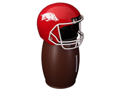 Arkansas FANbasket