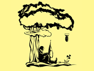 Nuclear Physics