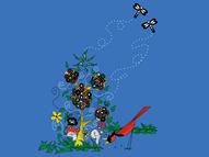 Enchanted Garden