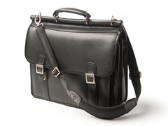 Halsted 15" Laptop Case