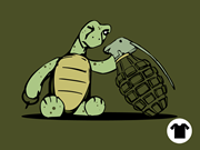 Curious Little Turtle