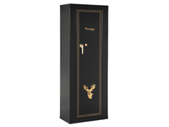 10-Gun Metal Cabinet