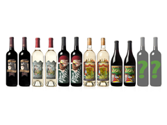 Woot Cellars with 2 Mysteries Case (12)