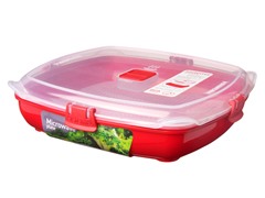 Large Microwave Plate