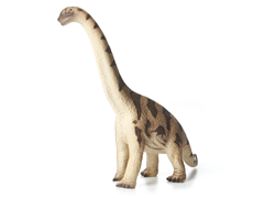 Brachiosaurus