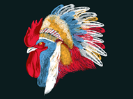 Chief Many Feathers