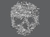 The Shredder